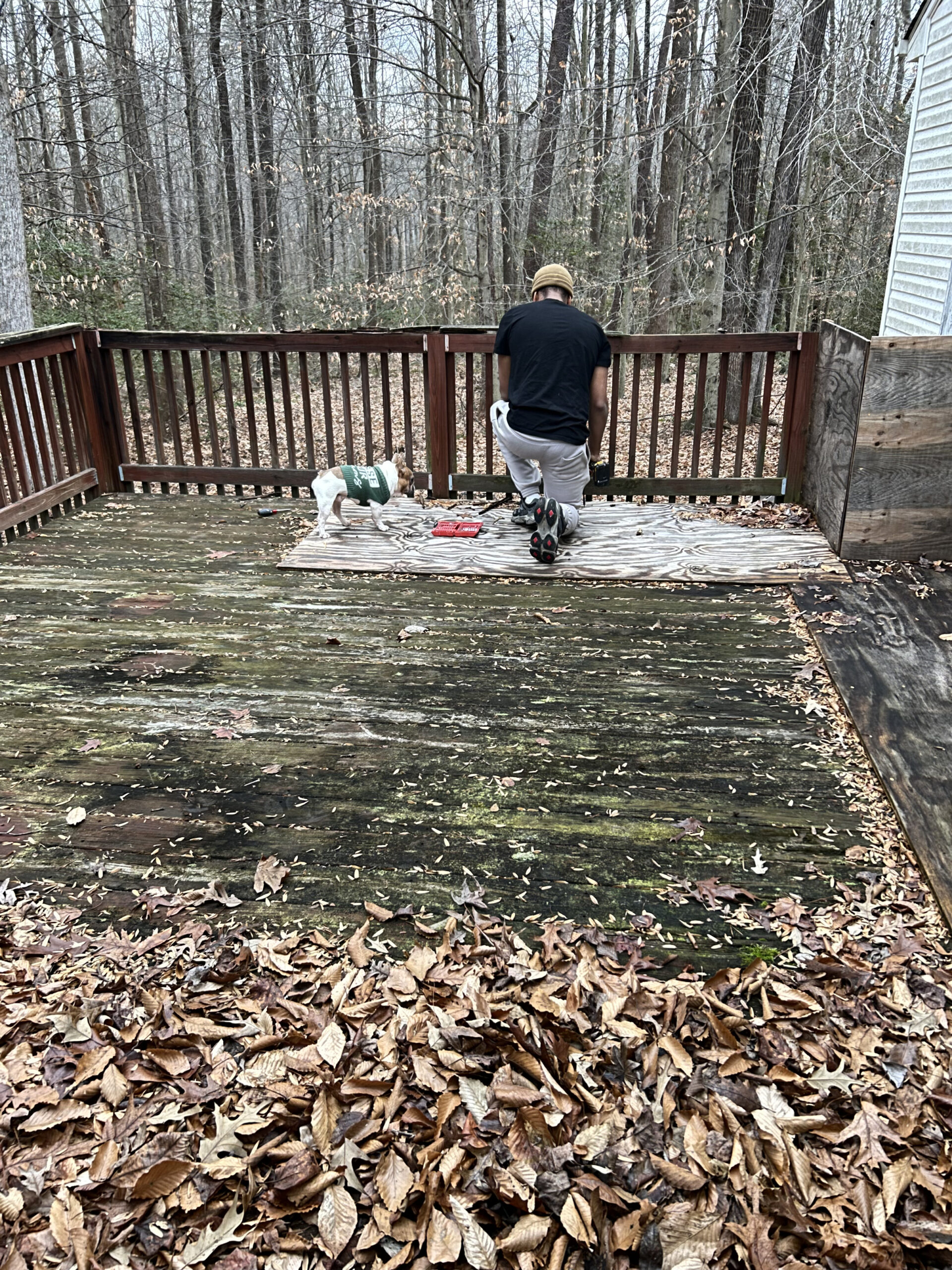 025DAE3A-9DE0-4C79-860B-A44D316BCDEA 025DAE3A-9DE0-4C79-860B-A44D316BCDEA